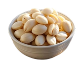 Macadamia Nuts